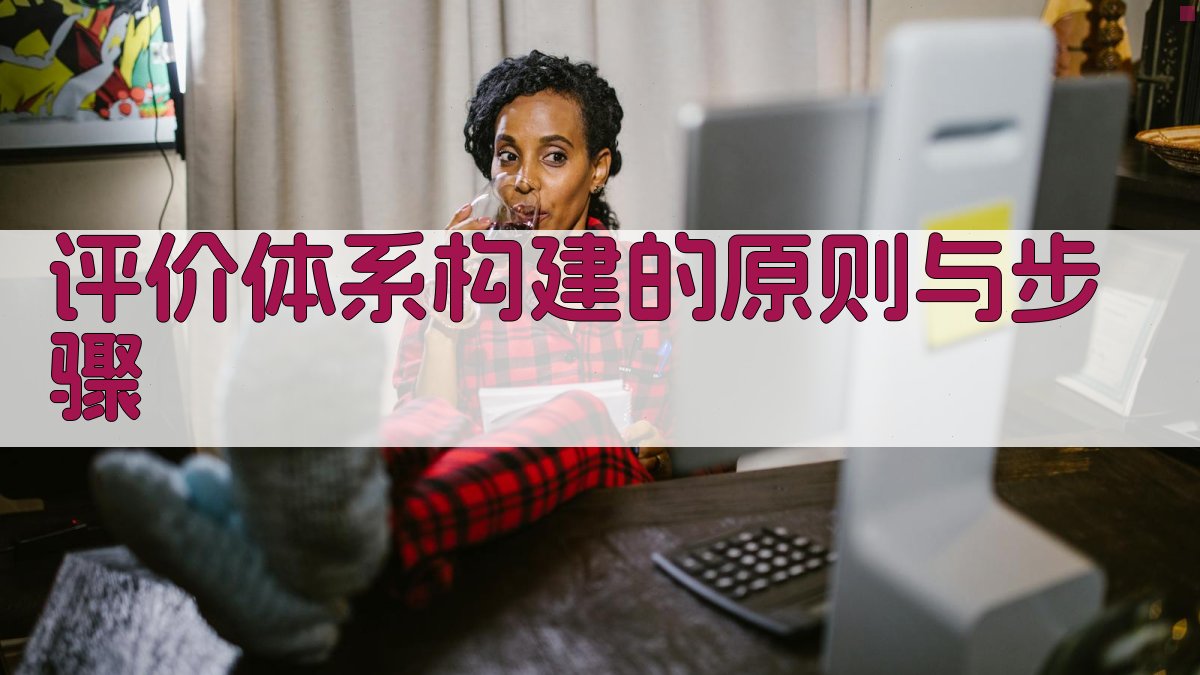 评价体系构建的原则与步骤 图3