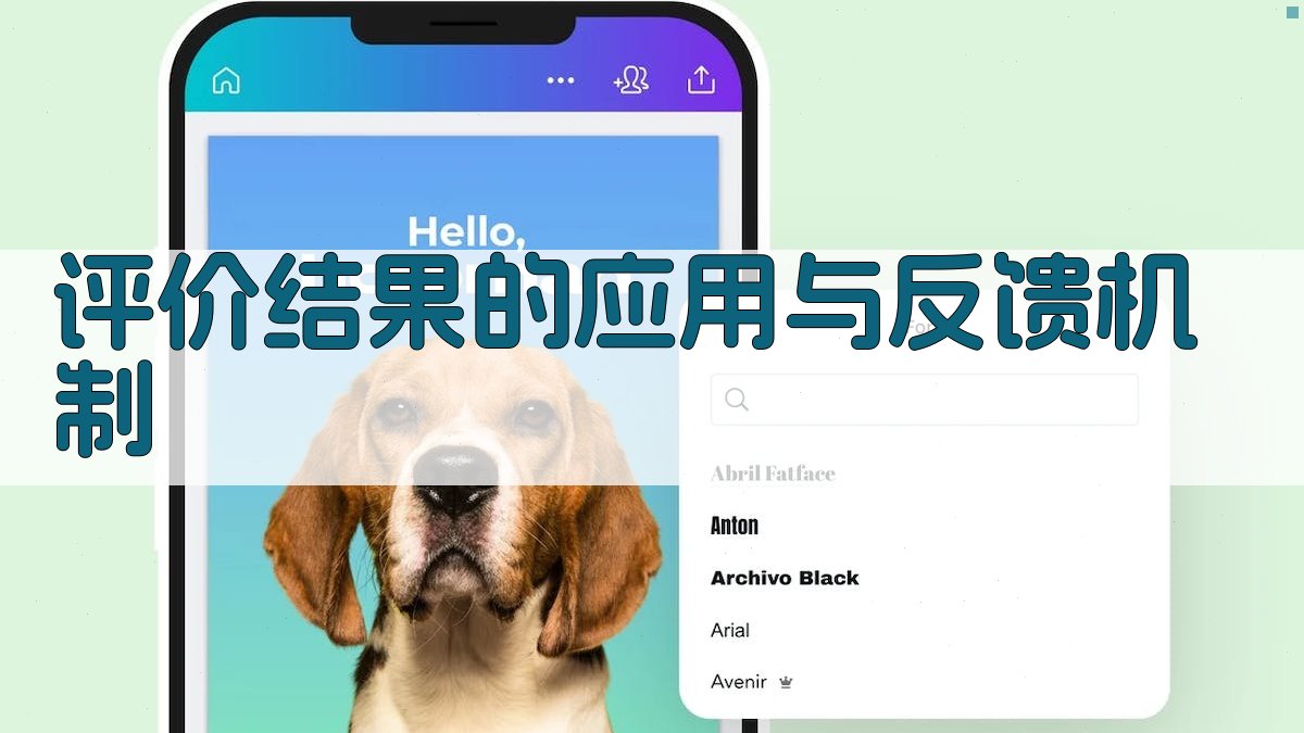 评价结果的应用与反馈机制 图4