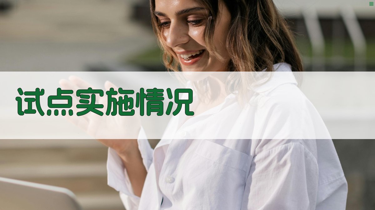 试点实施情况 图3