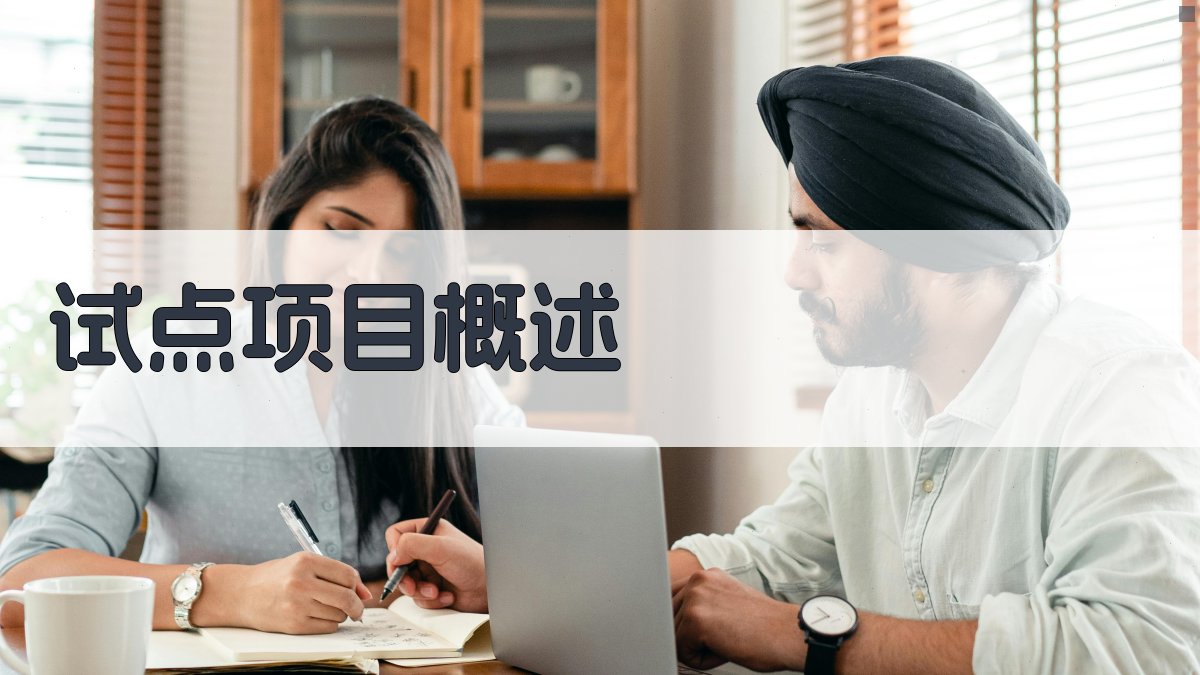 试点项目概述 图1