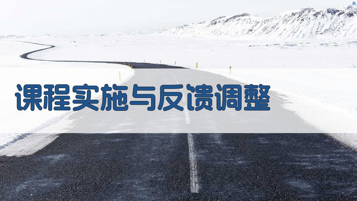 课程实施与反馈调整 图4