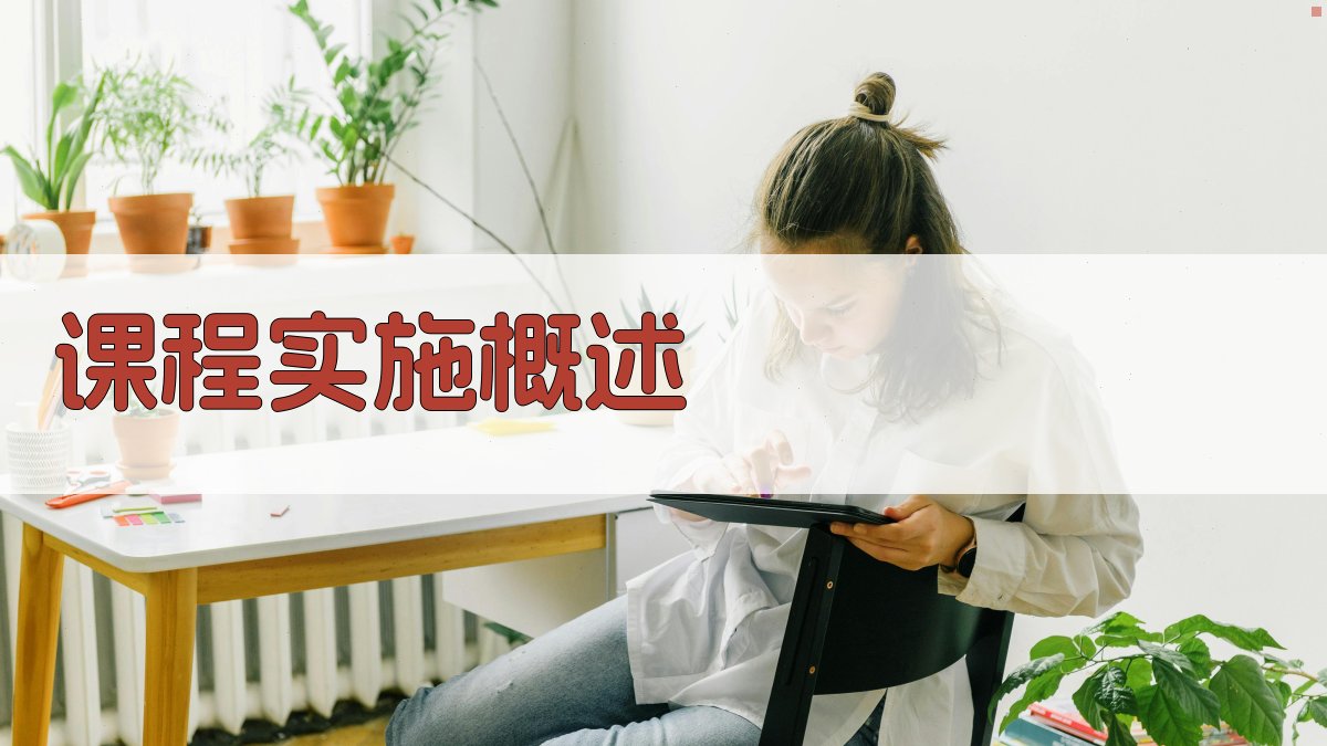 课程实施概述 图1