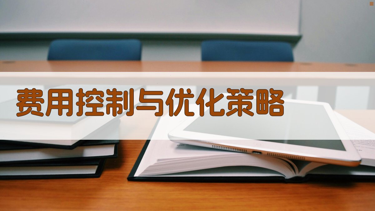 费用控制与优化策略 图2