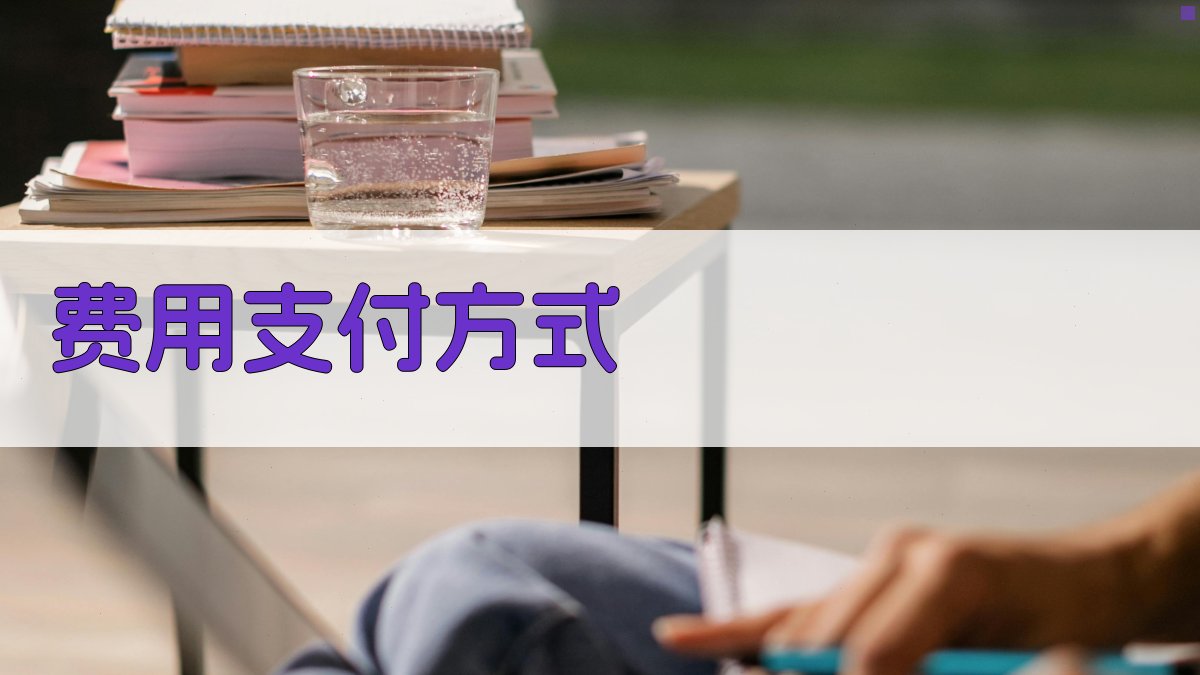 费用支付方式 图5