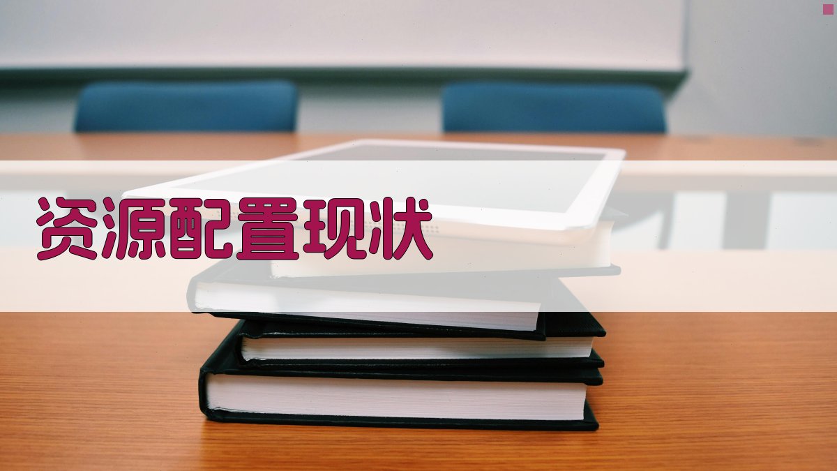 资源配置现状 图1