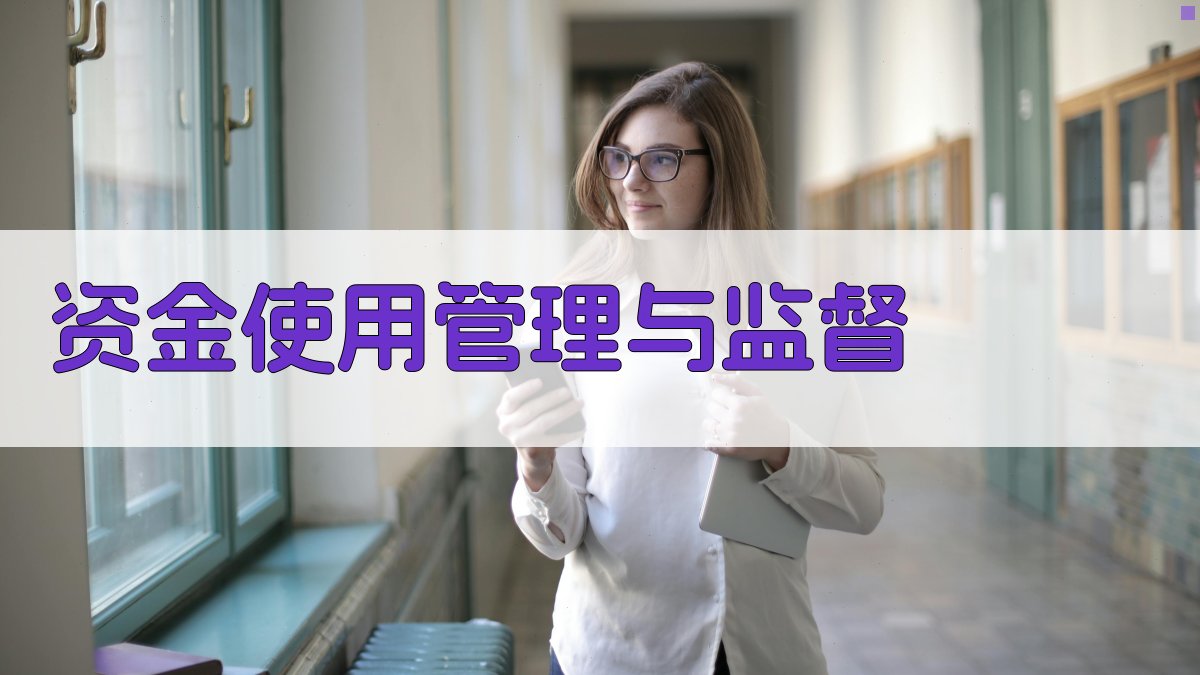 资金使用管理与监督 图5