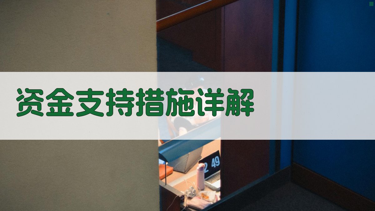 资金支持措施详解 图1
