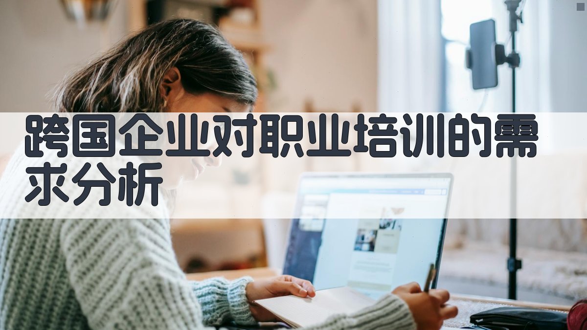 跨国企业对职业培训的需求分析 图1
