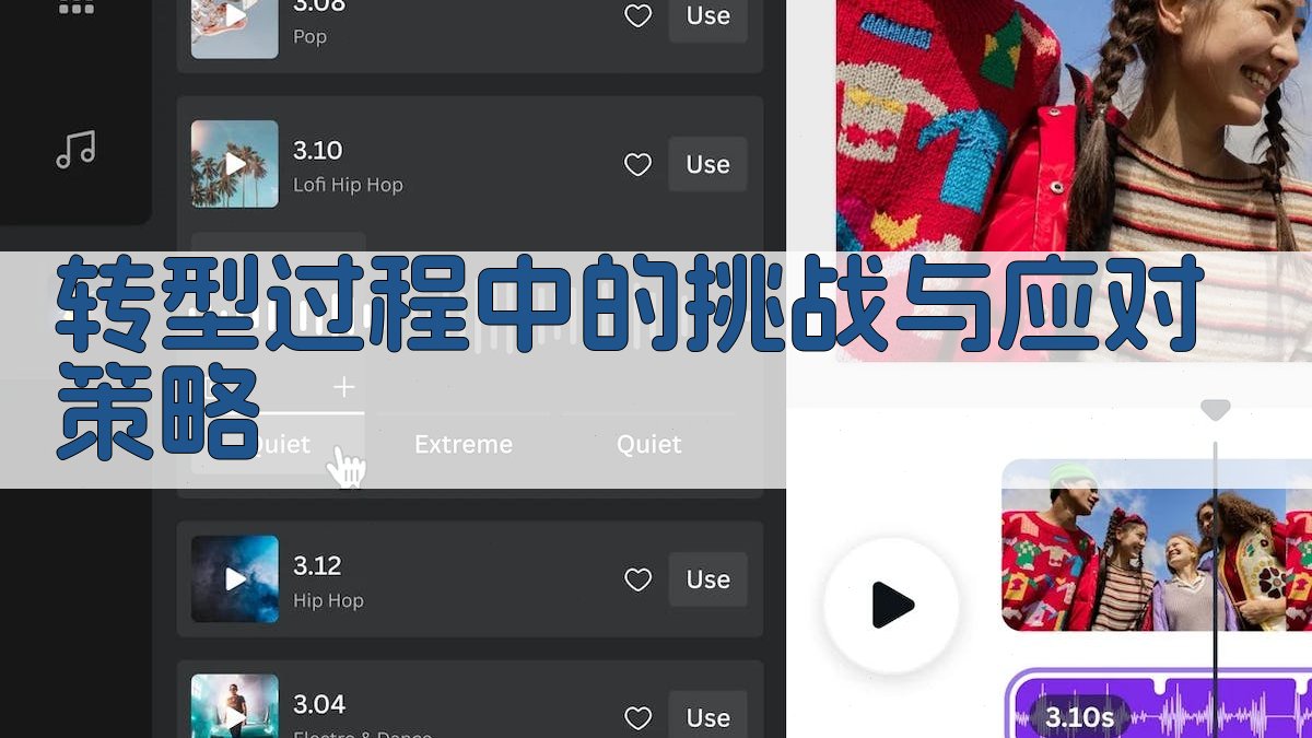 转型过程中的挑战与应对策略 图3