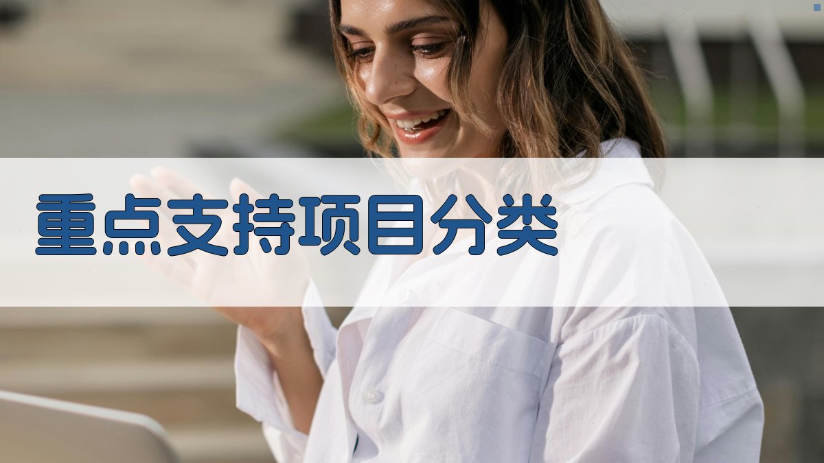 重点支持项目分类 图1