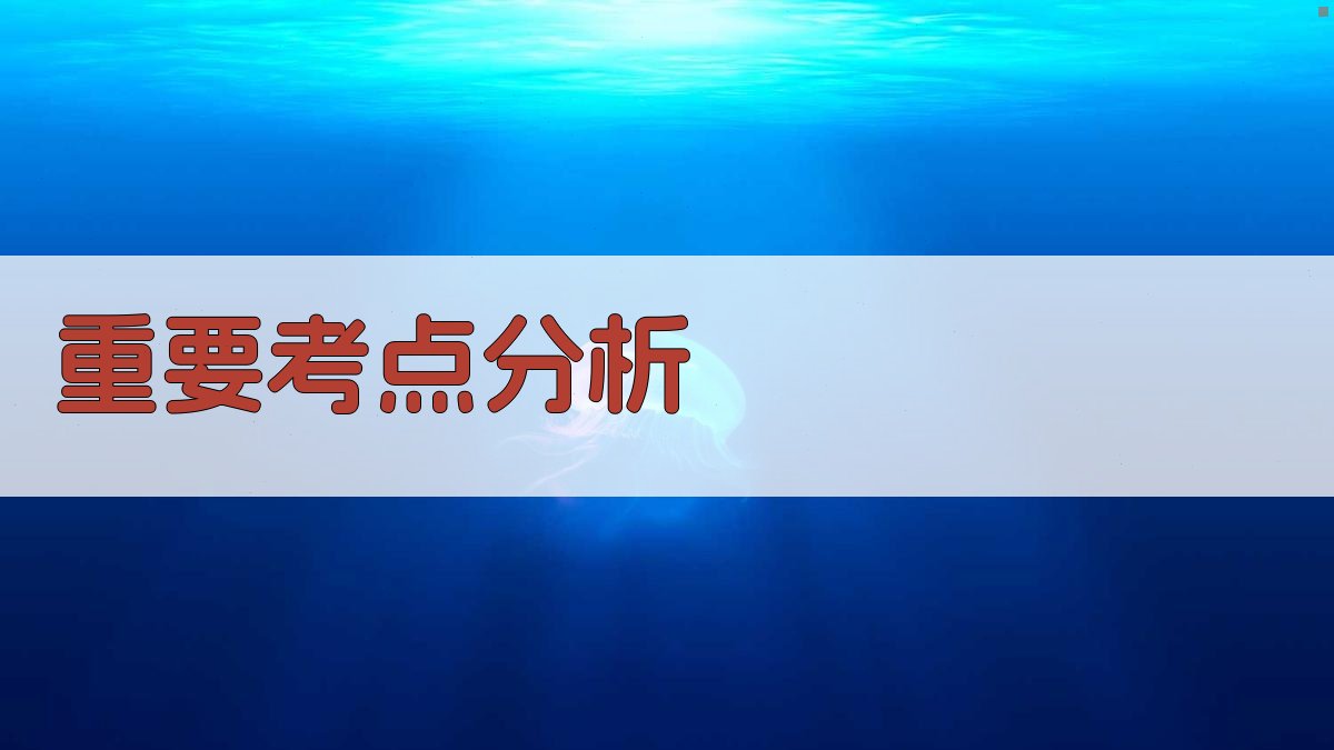 重要考点分析 图1