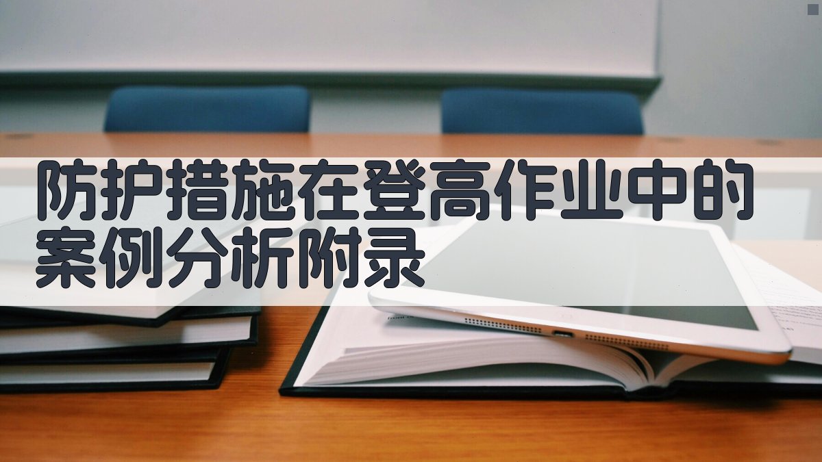 防护措施在登高作业中的案例分析 · 附录 图3