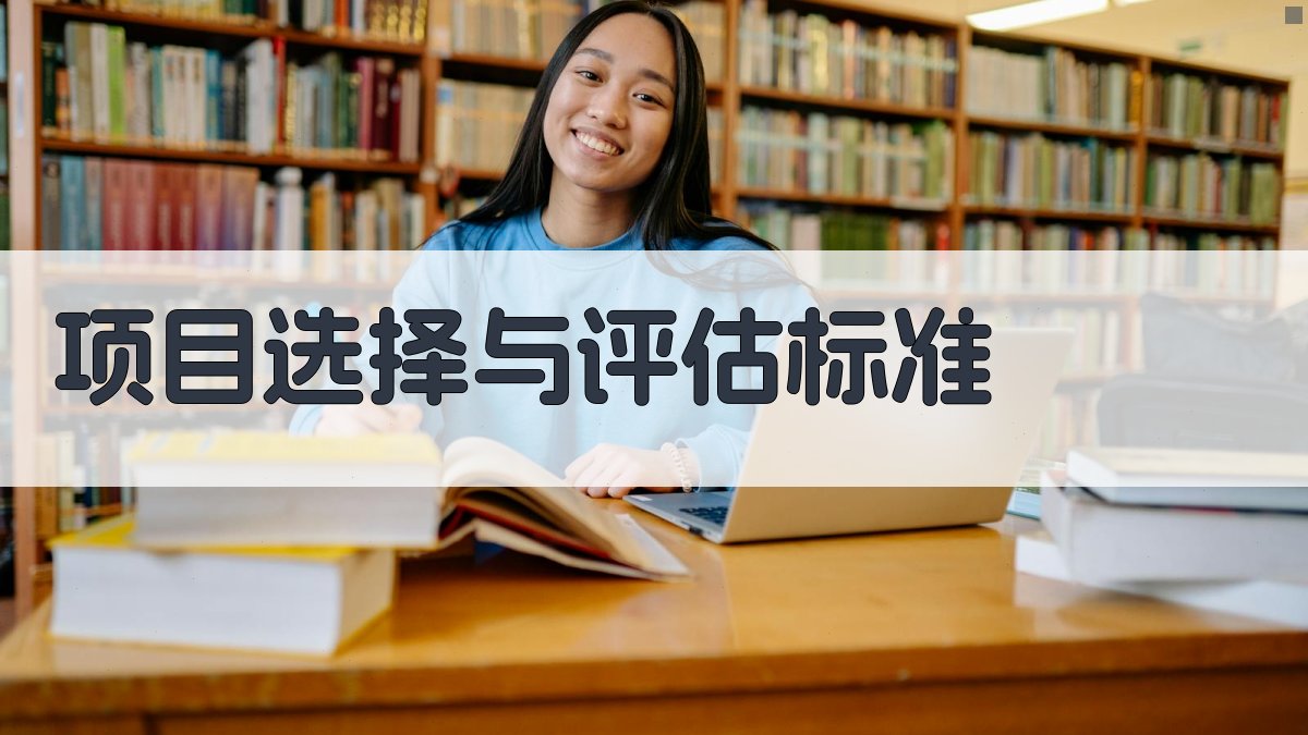 项目选择与评估标准 图2