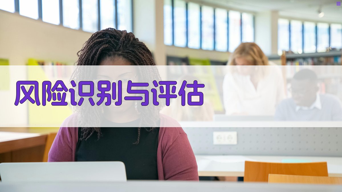 风险识别与评估 图2