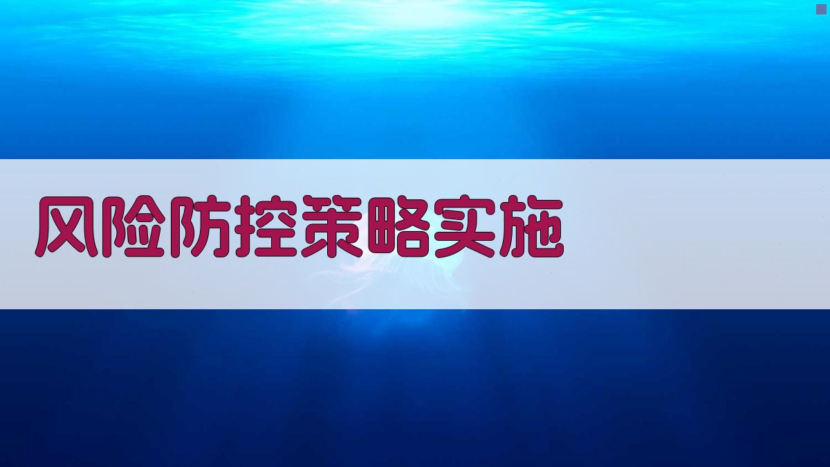 风险防控策略实施 图3
