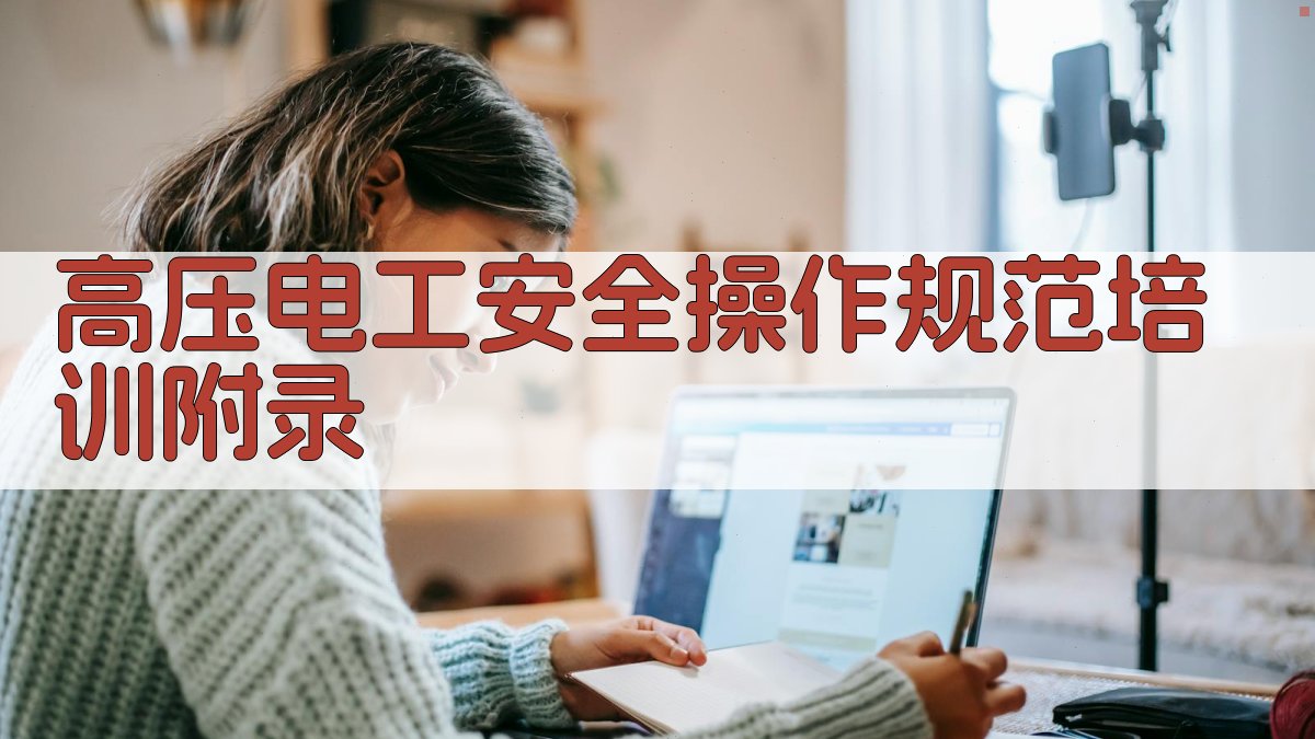 高压电工安全操作规范培训 · 附录 图2