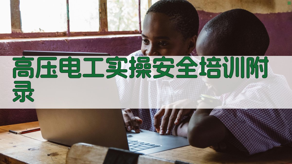 高压电工实操安全培训 · 附录 图4