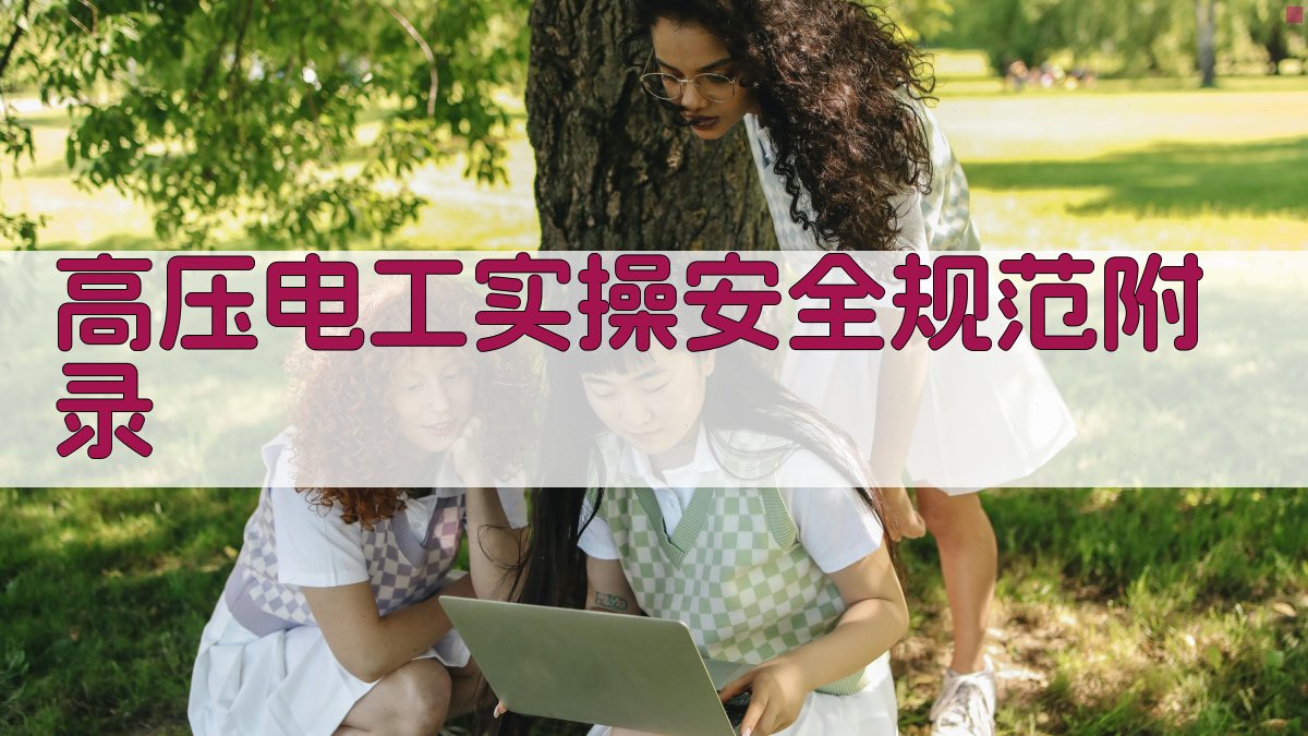 高压电工实操安全规范 · 附录 图4