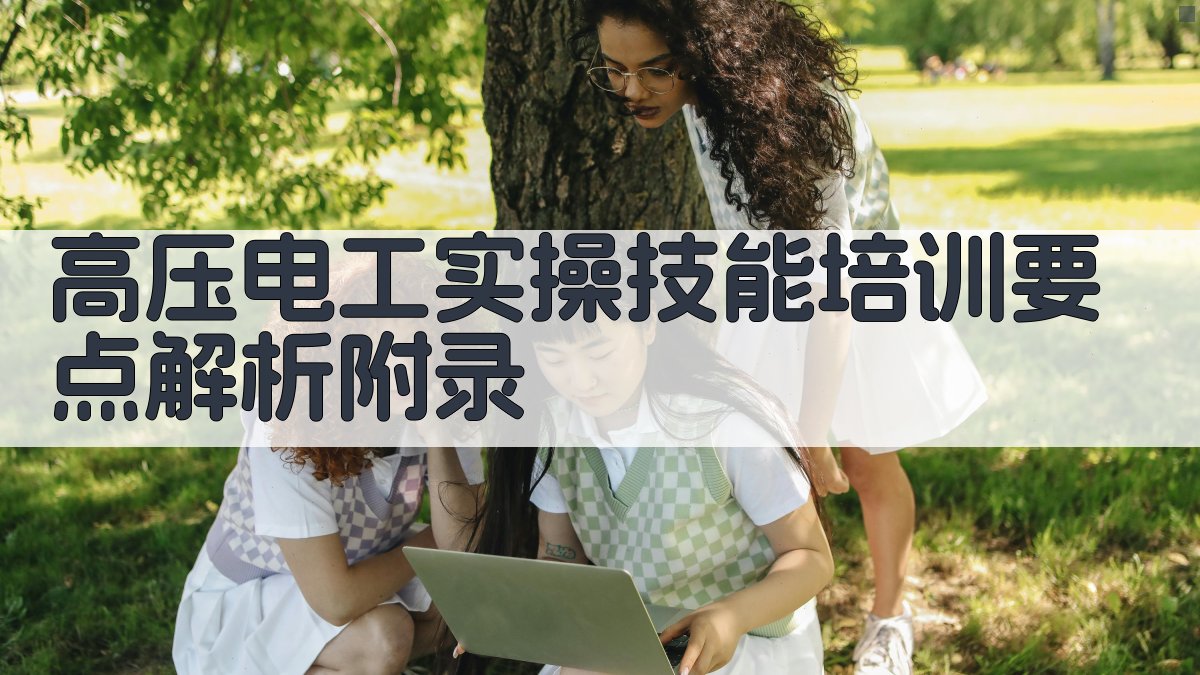 高压电工实操技能培训要点解析 · 附录 图5