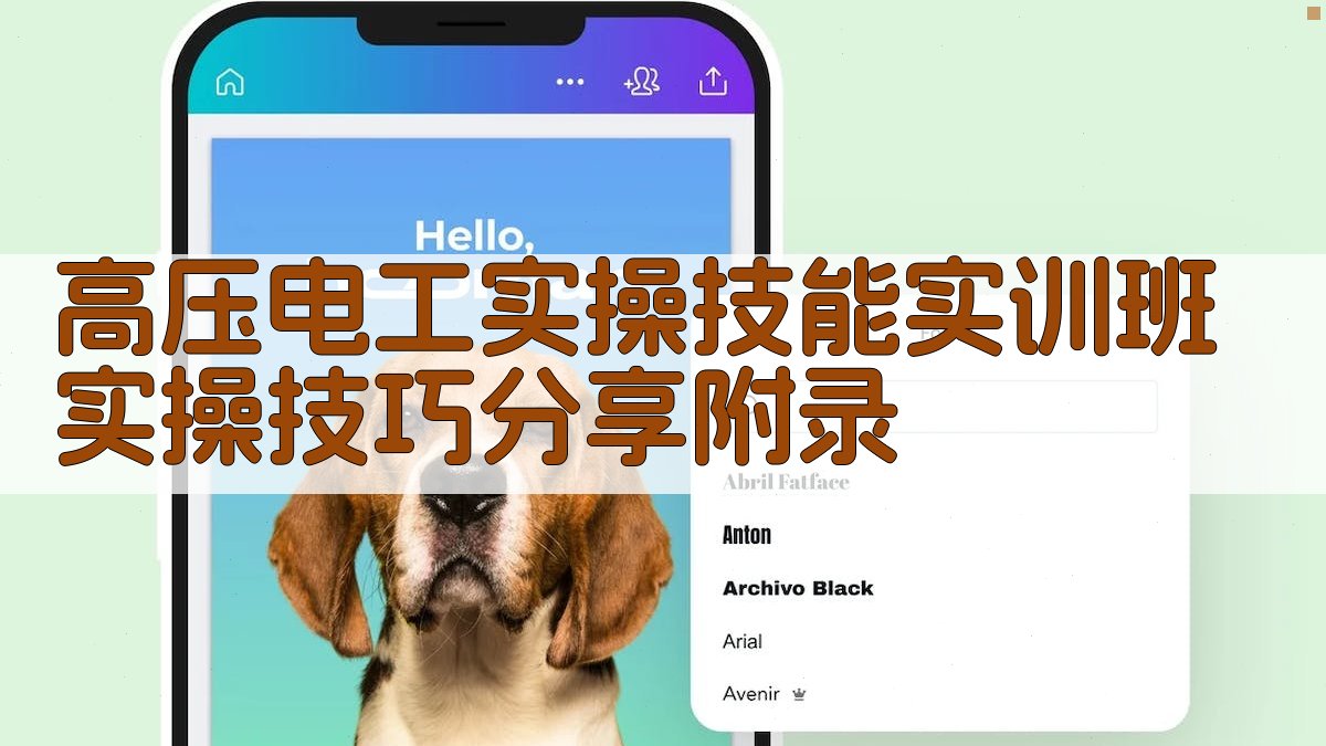 高压电工实操技能实训班实操技巧分享 · 附录 图4
