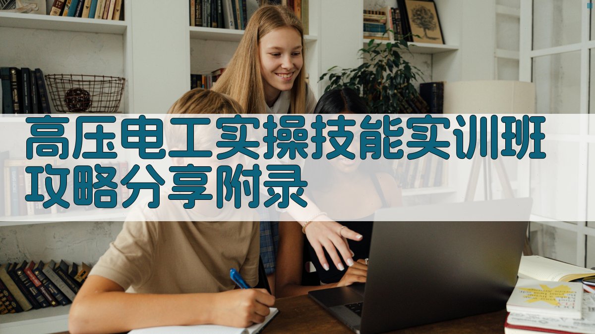 高压电工实操技能实训班攻略分享 · 附录 图3