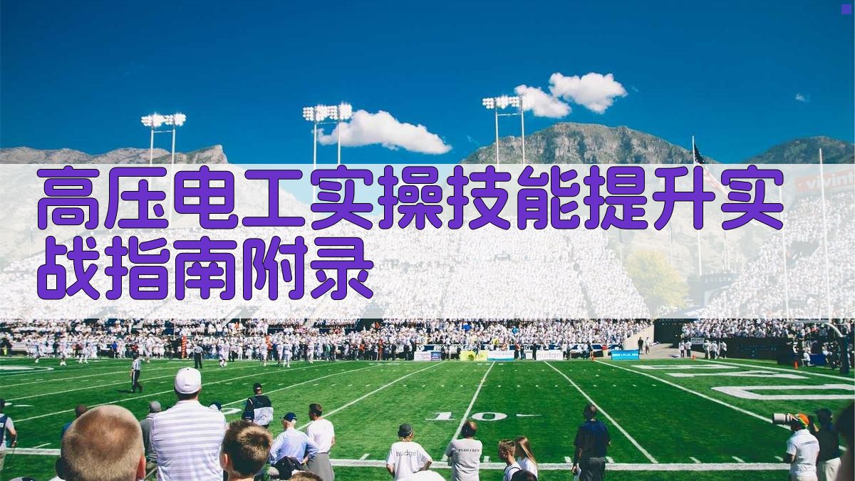 高压电工实操技能提升实战指南 · 附录 图2