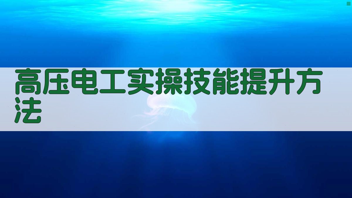 高压电工实操技能提升实战演练
