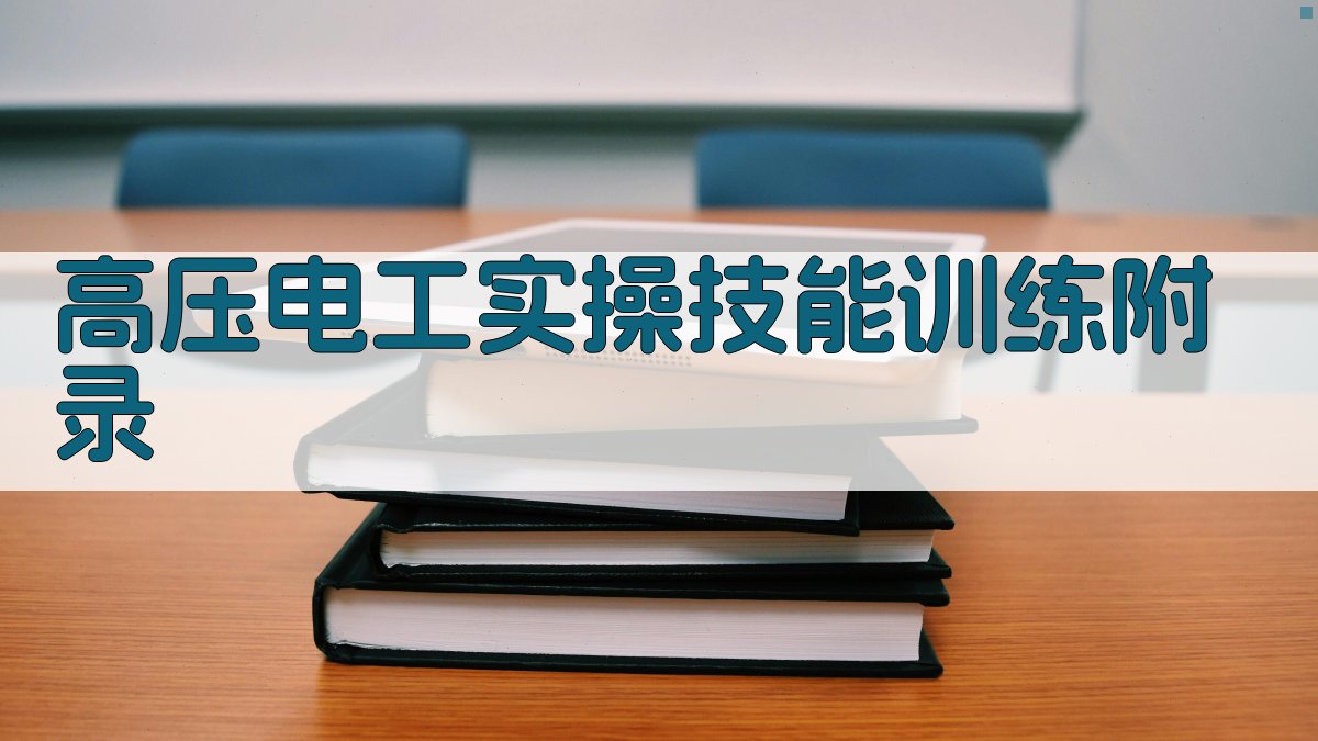 高压电工实操技能训练 · 附录 图4