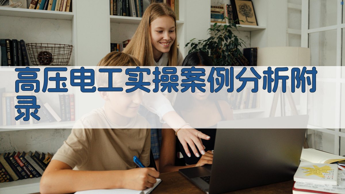 高压电工实操案例分析 · 附录 图3