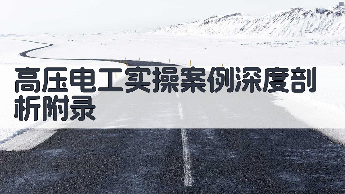 高压电工实操案例深度剖析 · 附录 图4