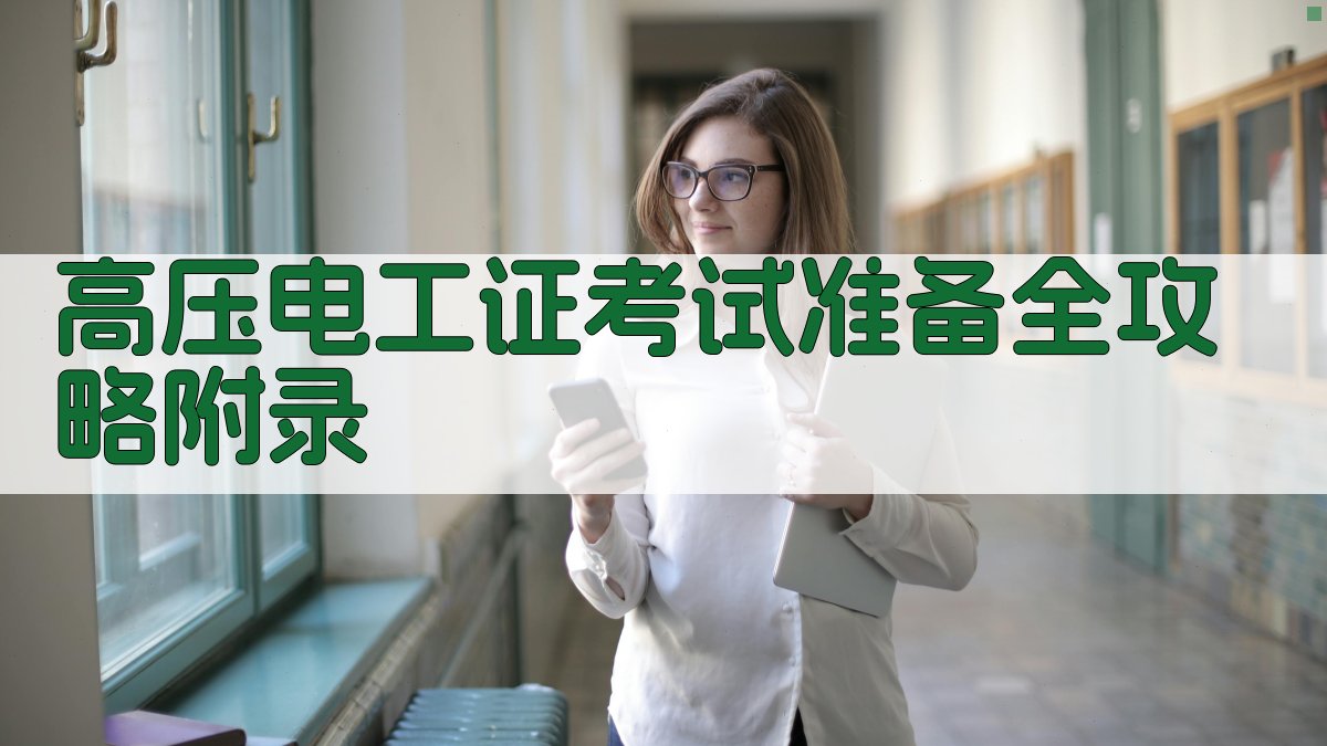 高压电工证考试准备全攻略 · 附录 图4