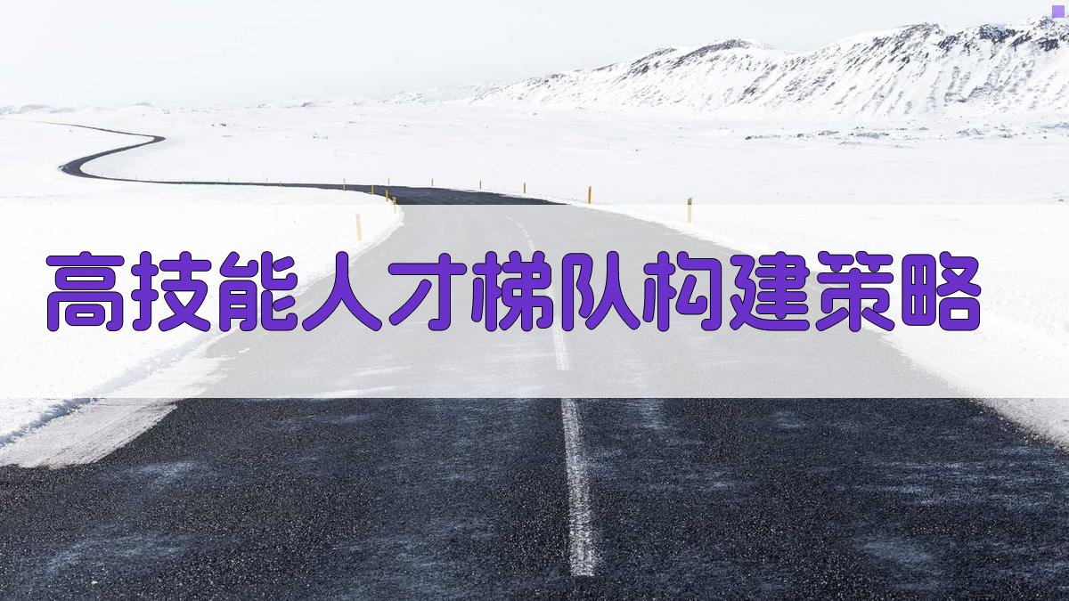 高技能人才梯队构建策略 图3