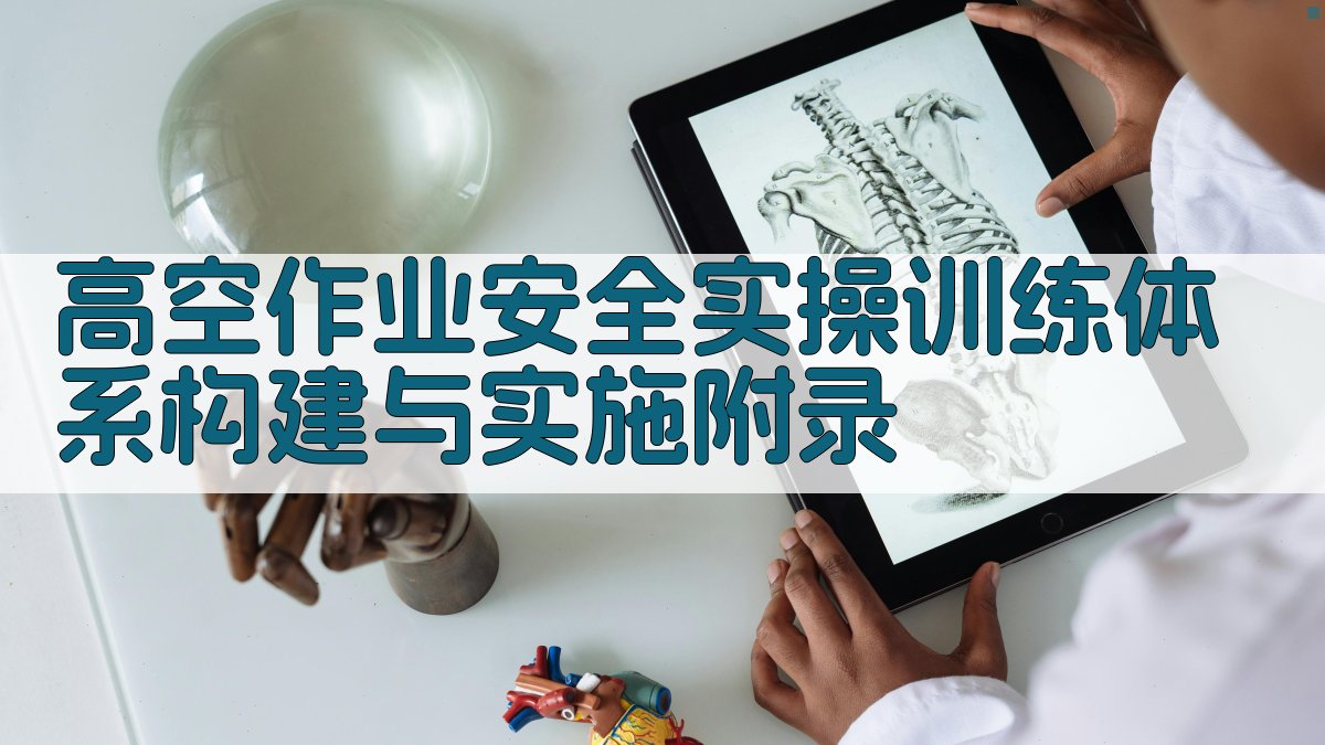 高空作业安全实操训练体系构建与实施 · 附录 图3