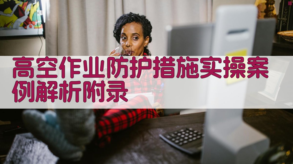 高空作业防护措施实操案例解析 · 附录 图4